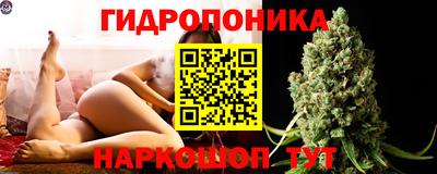 spice Краснознаменск