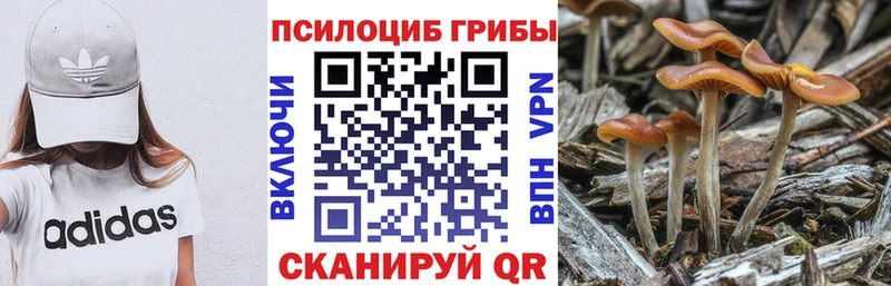Галлюциногенные грибы ЛСД Муром