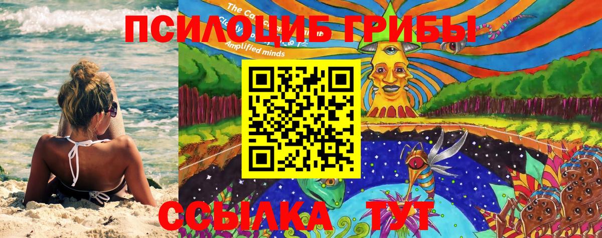 Псилоцибиновые грибы Cubensis Муром