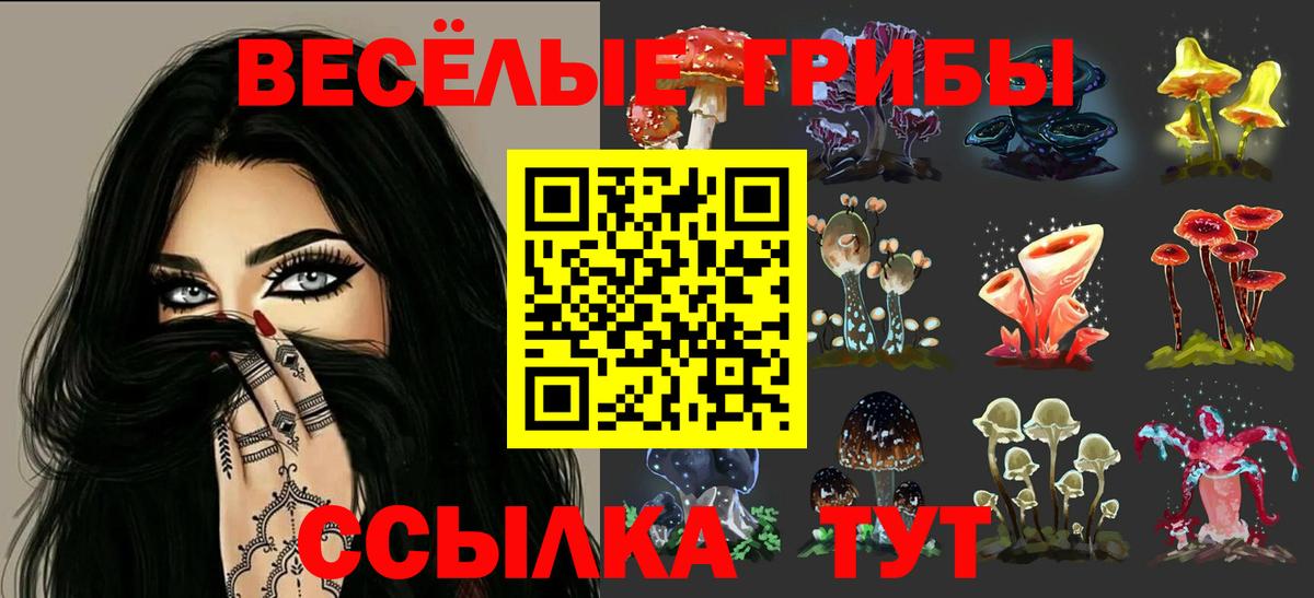Псилоцибиновые грибы MAGIC MUSHROOMS  Псилоцибиновые грибы Psilocybine cubensis  Вход с VPN  Муром 