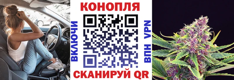 Бошки Шишки ГИДРОПОН  закладки  Муром 